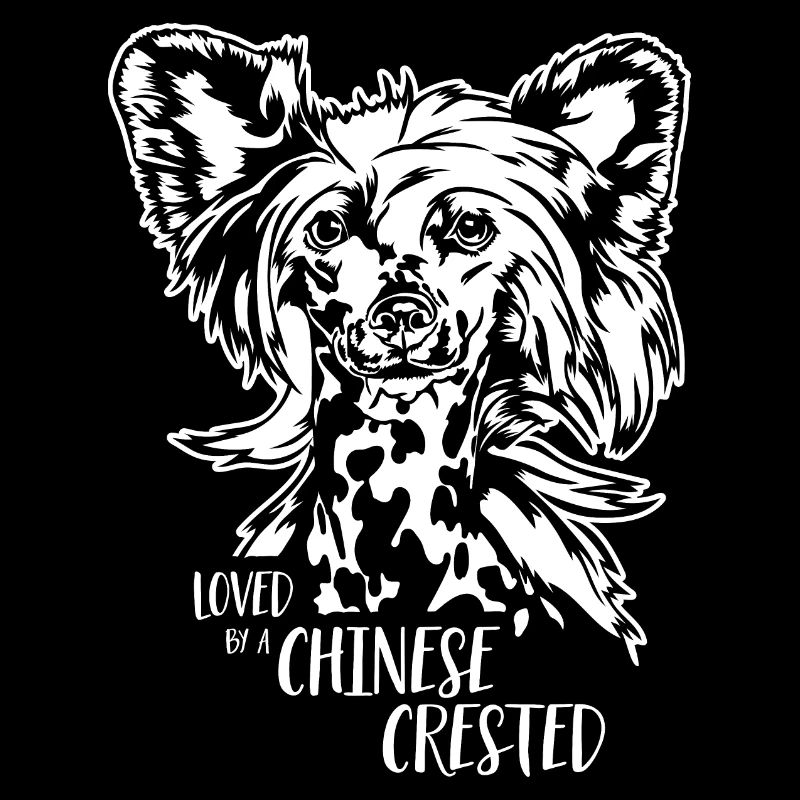 Aimé par un chien chinois à crête Chien Wilsigns