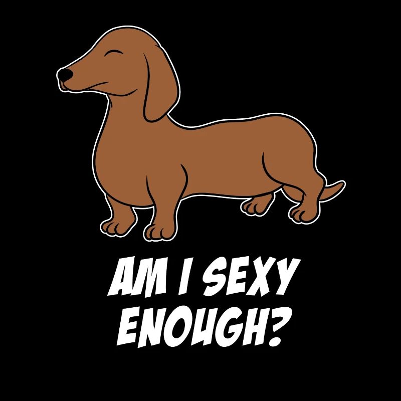 Teckel chien