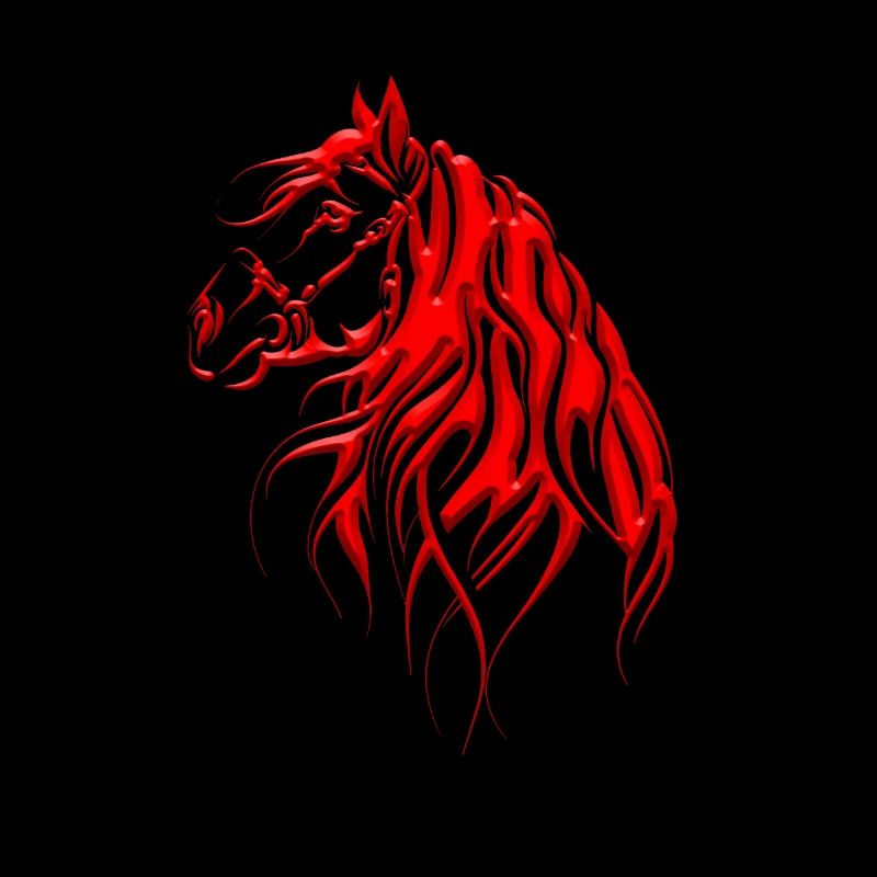 Horse - cheval - animal de course
