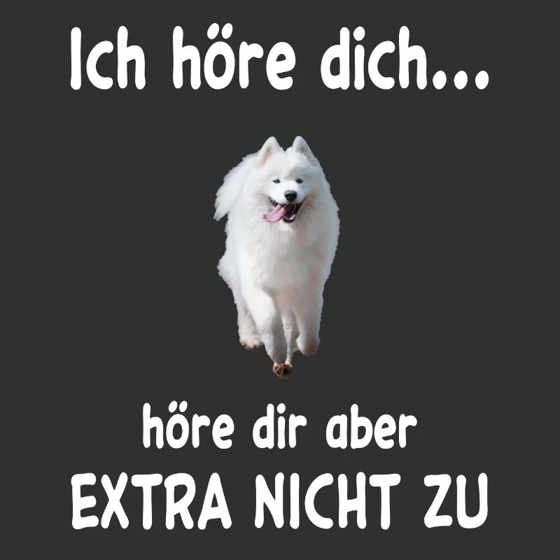 Samojede Hund - Samojede