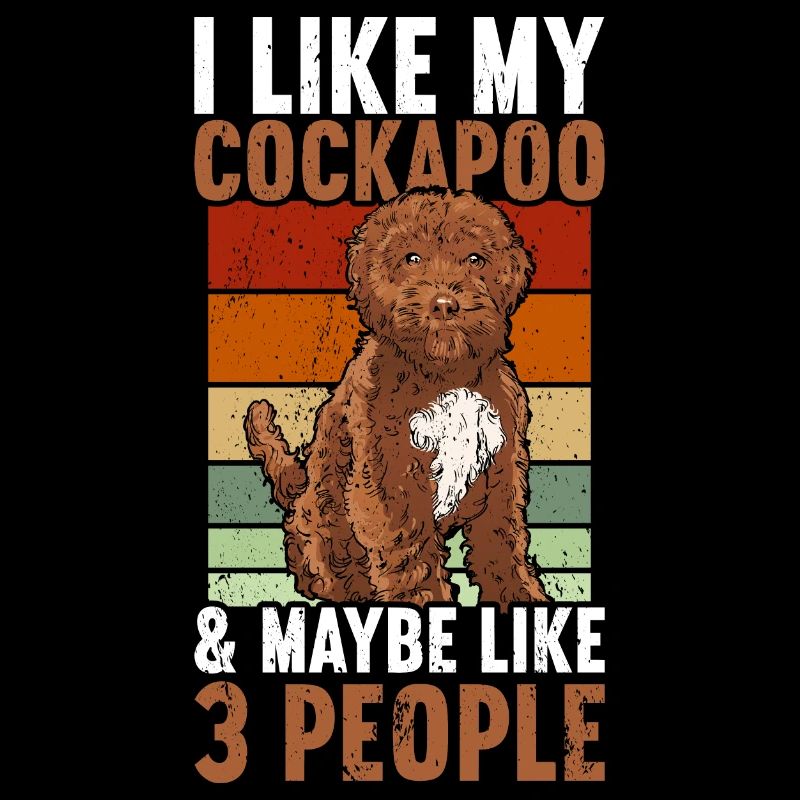 Cockapoo
