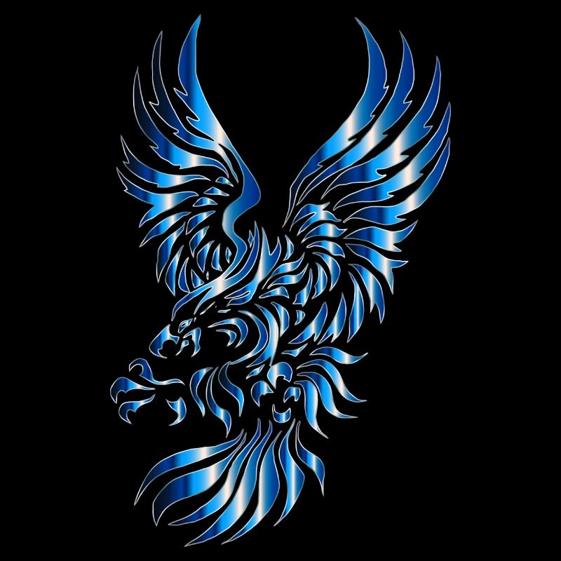 eagle eagle buzzard falcon habicht hawk falcon14