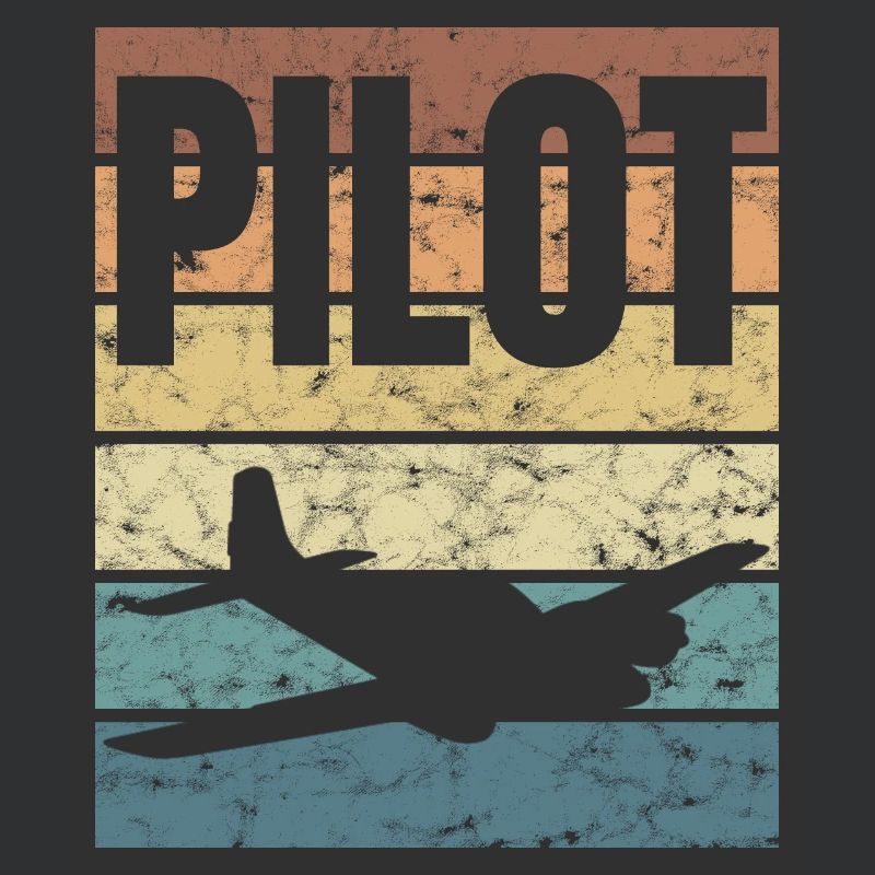 Pilot Pride Flying Airplane Sky Flyer