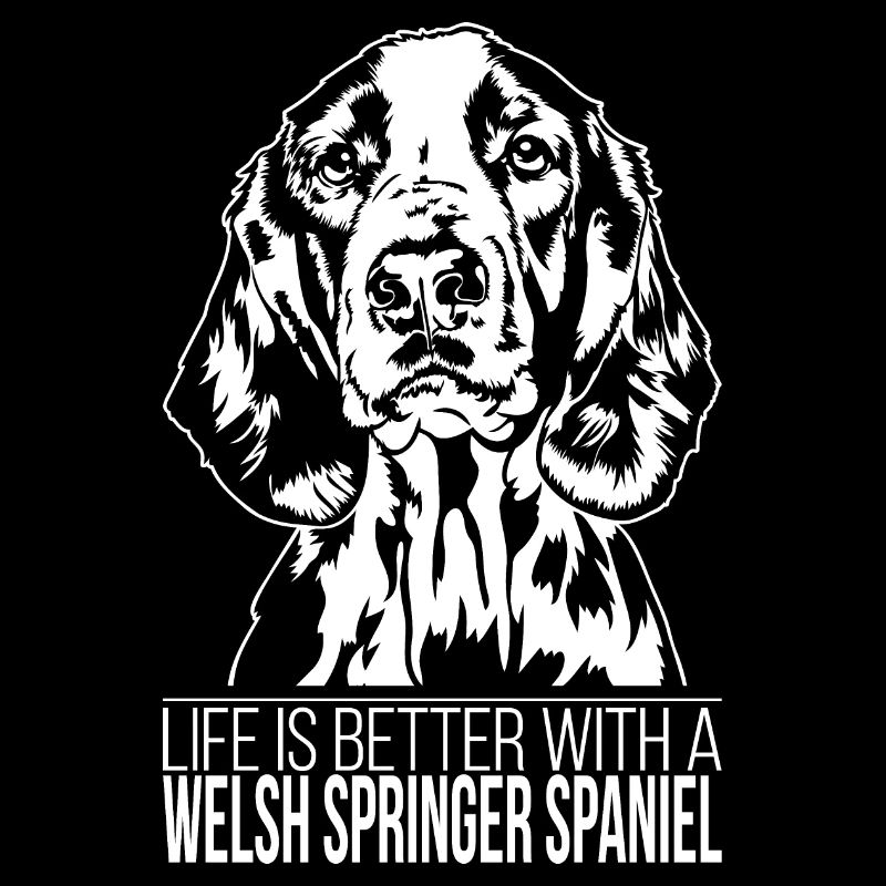 Welsh Springer Spaniel life better dog Wilsigns