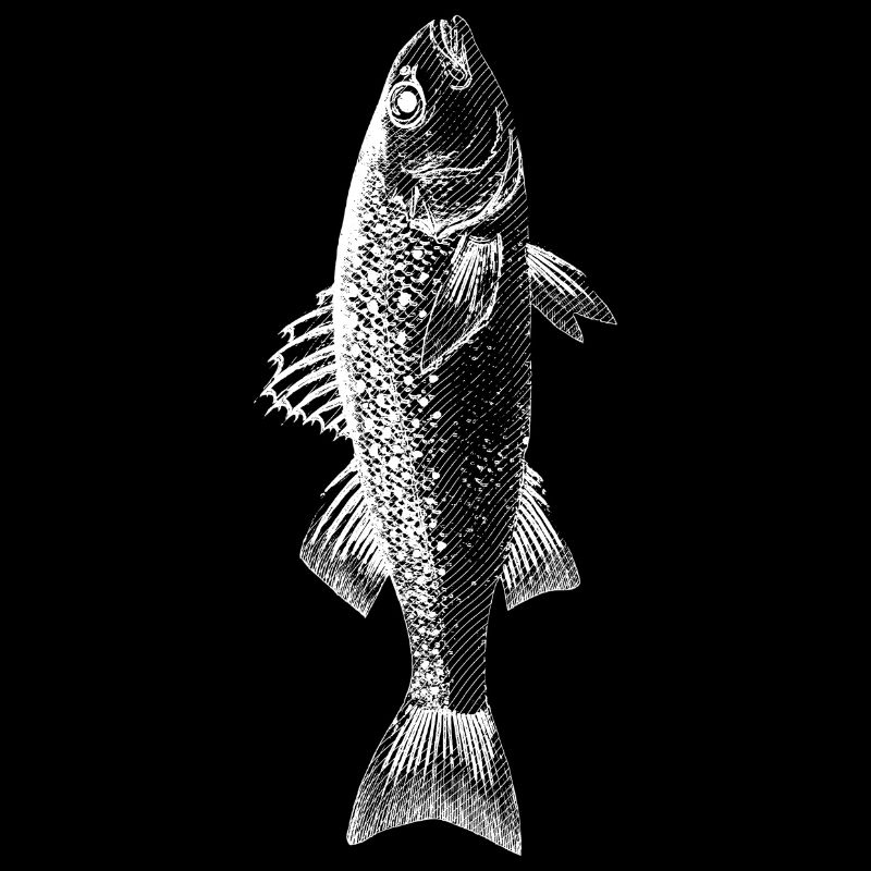 Fisch