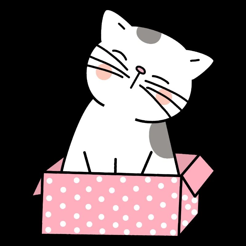 Cat Cardboard Cute
