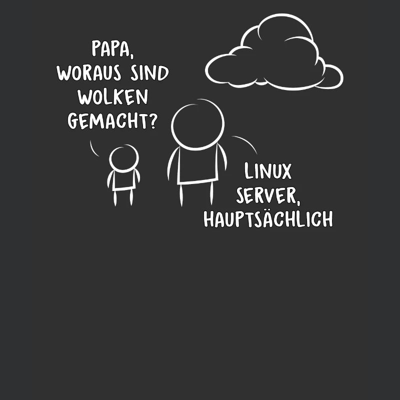 Software Entwickler Programmierer Informatik Ingen