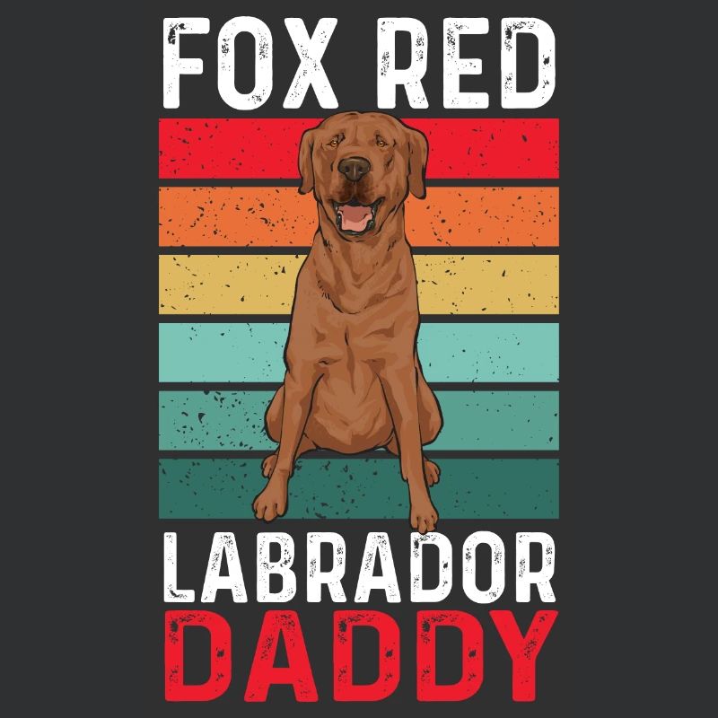 Foxred Labrador Fox Red Labrador Retriever