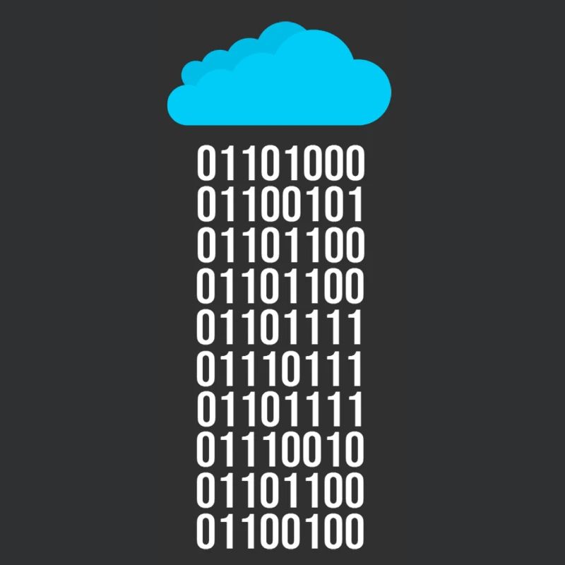 Programmer Computer Scientist Binary Code Coder