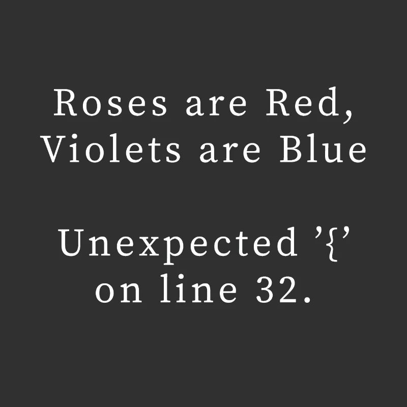 Poème de programmation, bug