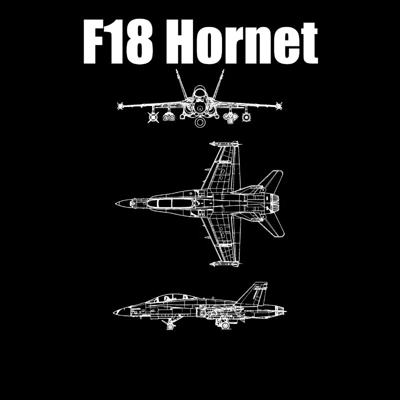 F18 Hornet Aircraft