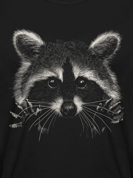 Waschbär