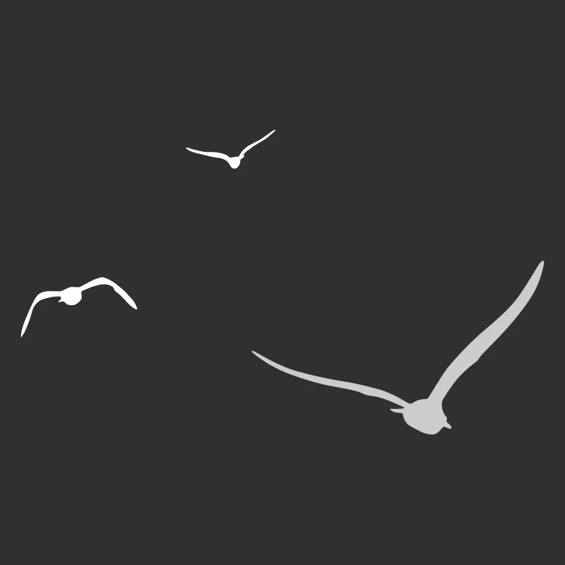 Drei Möwen | Möwe | Farben einstellbar