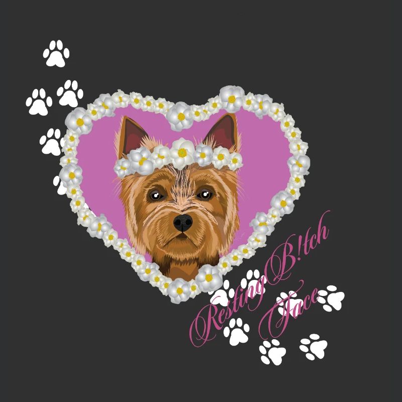 Ruhender Tch-Face Yorksire Terrier