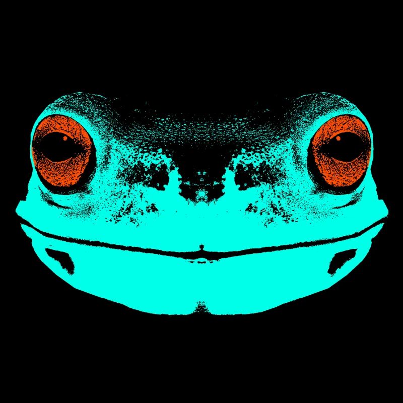 Grenouille / visage / coloré