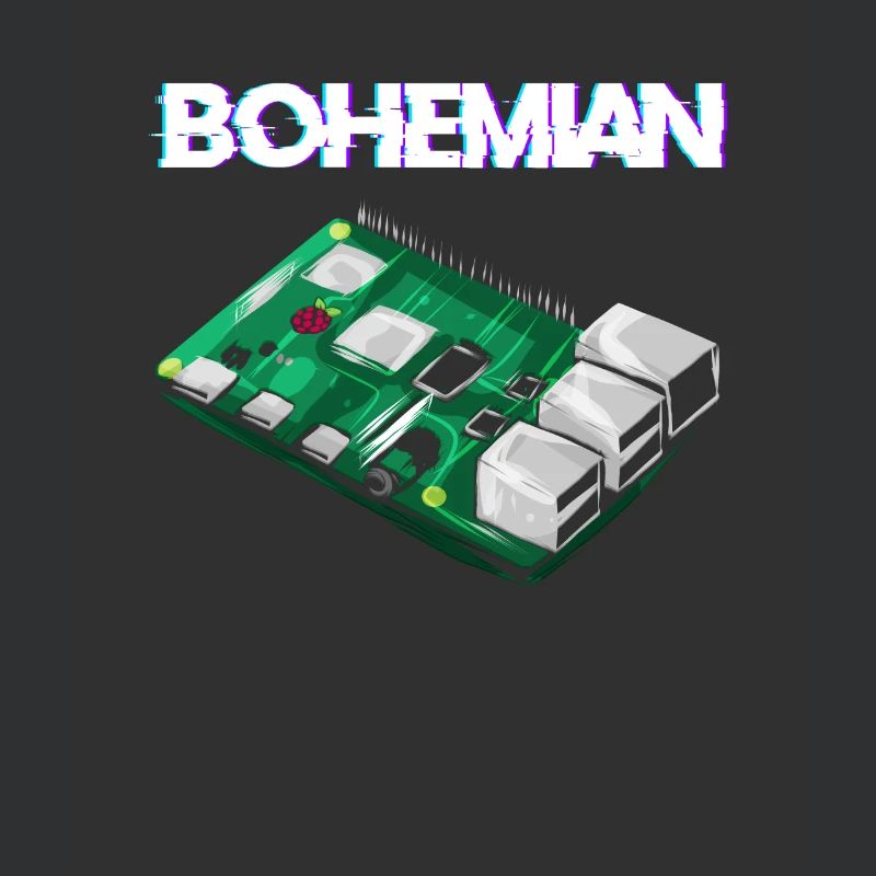 Programmeur informaticien Bohemian Raspberry Pi