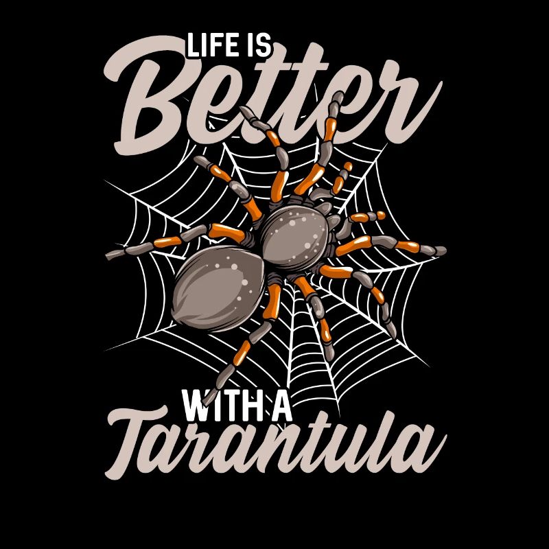 spider