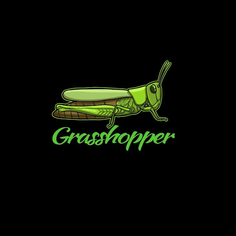 Grasshopper grasshopper animal gift