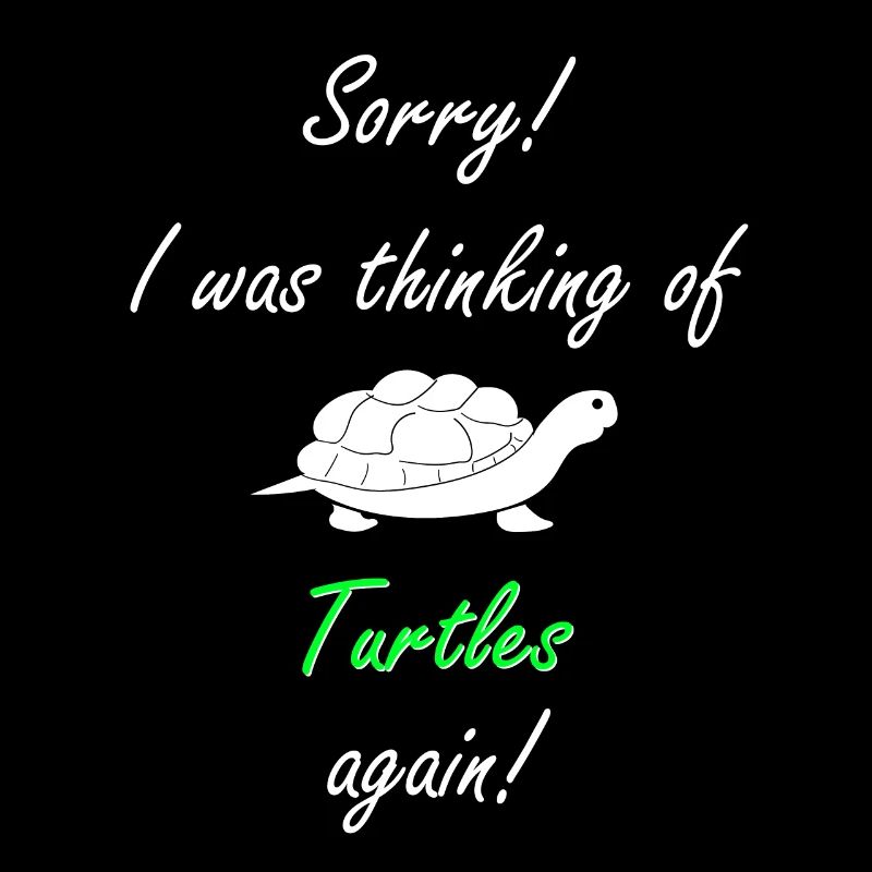 Turtle Turtle