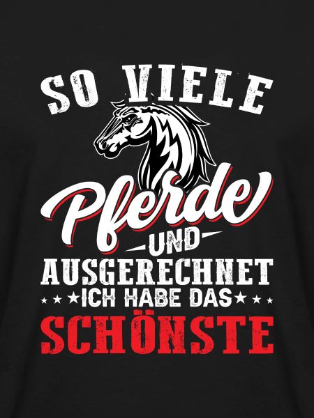 schönstes Pferd