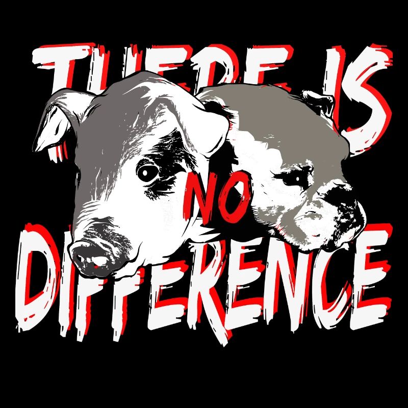 Schwein Hund No difference