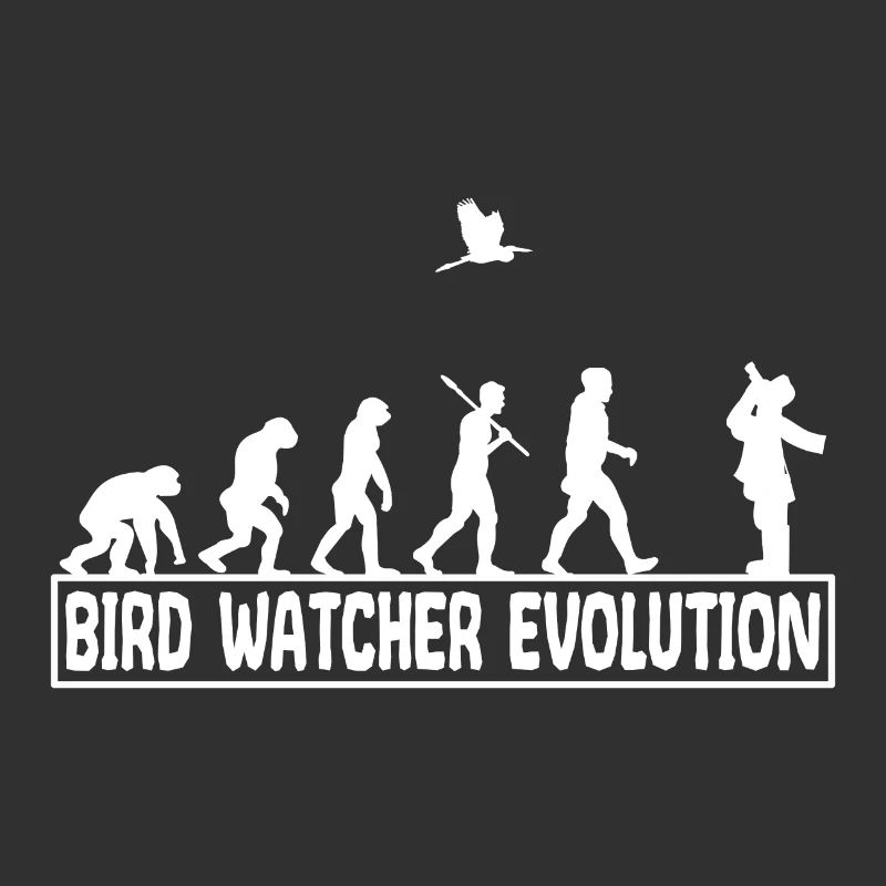 Ornithologie Oiseaux chanteurs observer évolution
