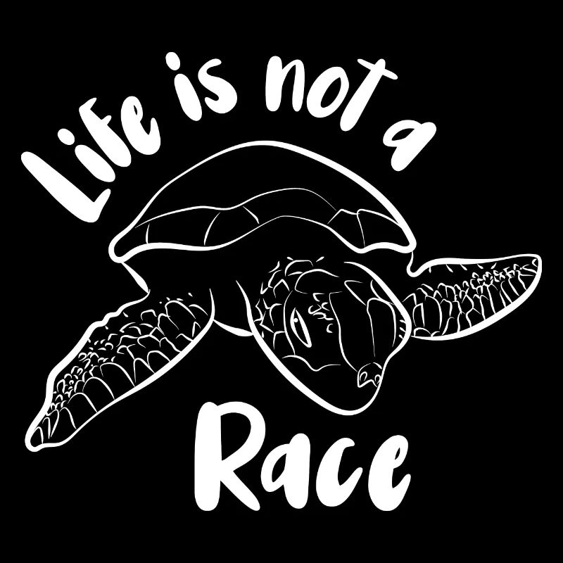 Turtle Turtle