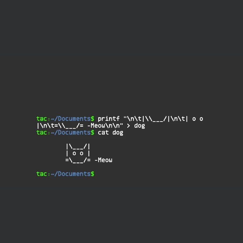 linux shell cat