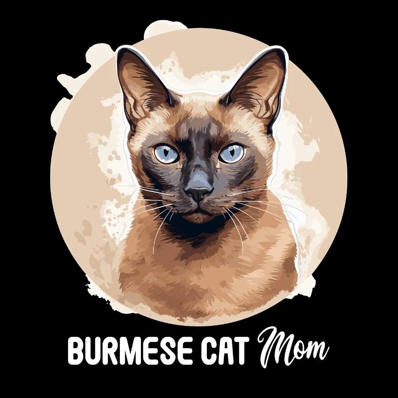 Chat birman Birmanie Katze