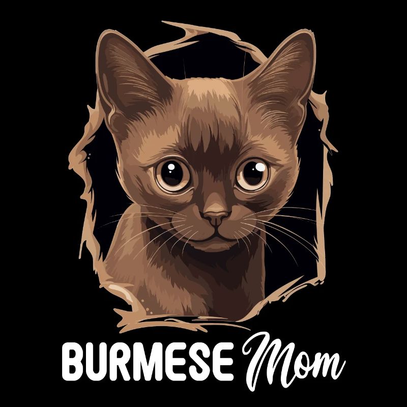 Chat birman Birmanie Katze