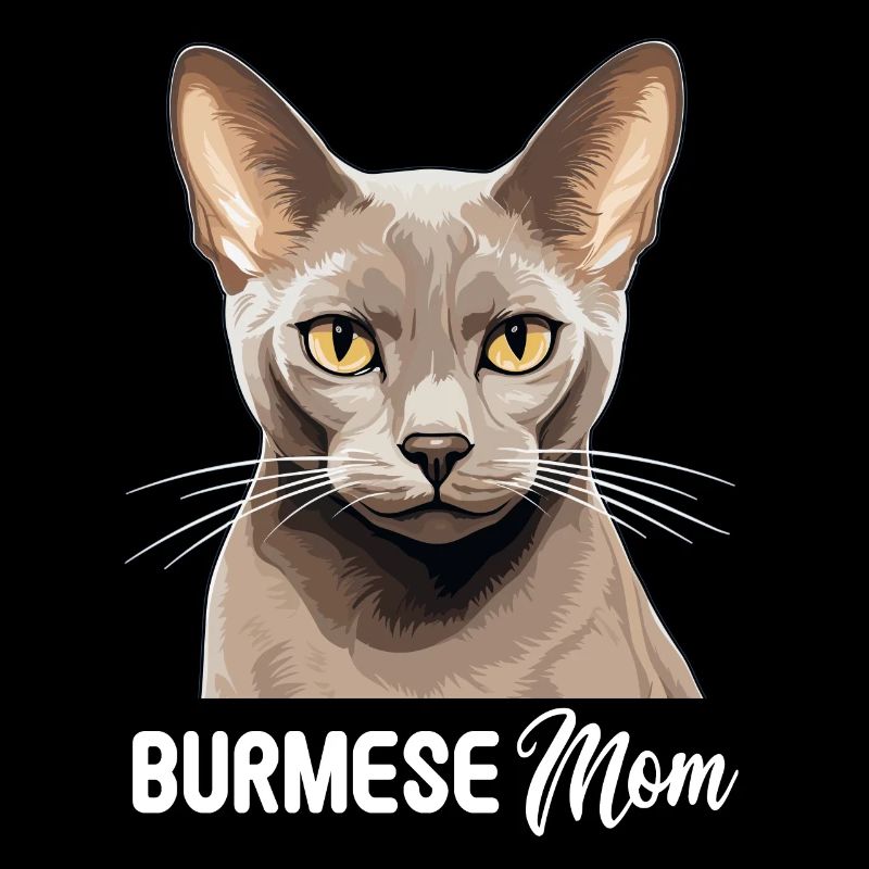 Chat birman Birmanie Katze
