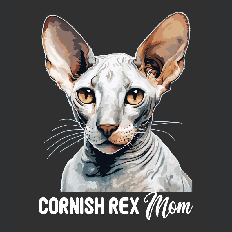Cornish Rex Kätzchen Cornish Rex Katze