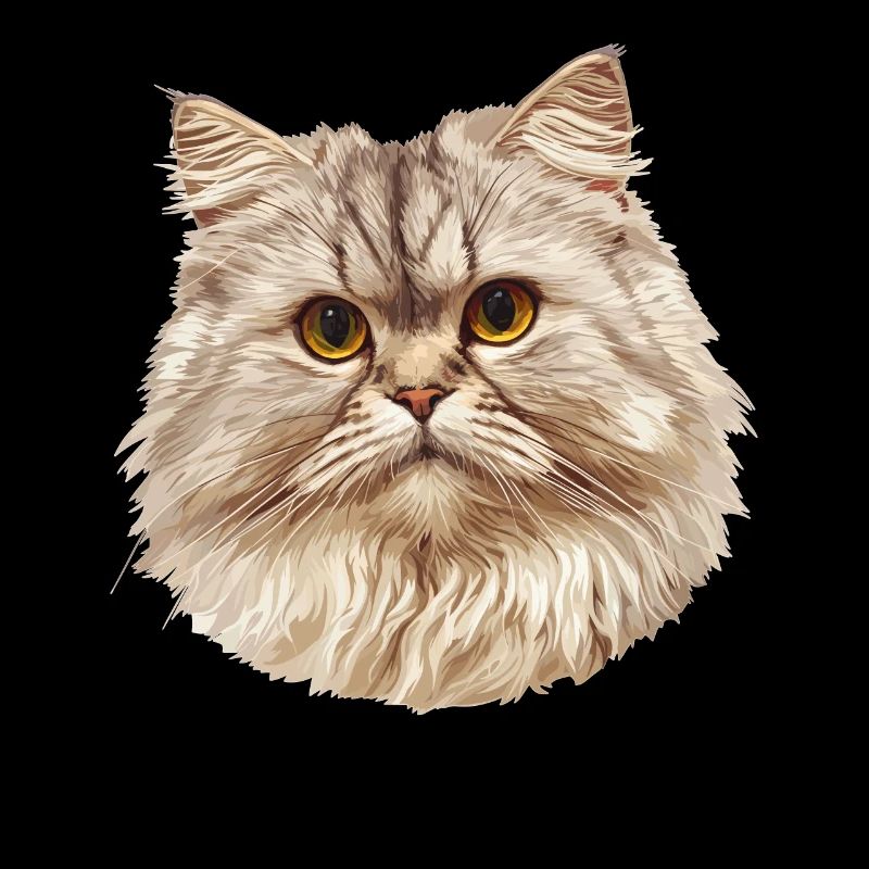 Ragamuffin Kätzchen Ragamuffin Katze