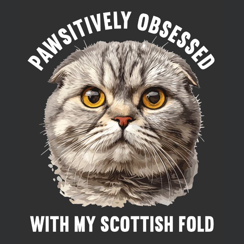 Scottish Fold Kätzchen Scottish Fold Katze
