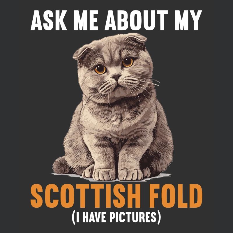 Scottish Fold Kätzchen Scottish Fold Katze