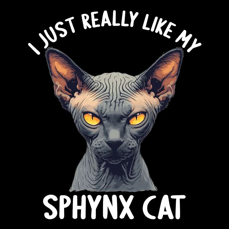 Chaton Sphynx Chat Sphynx