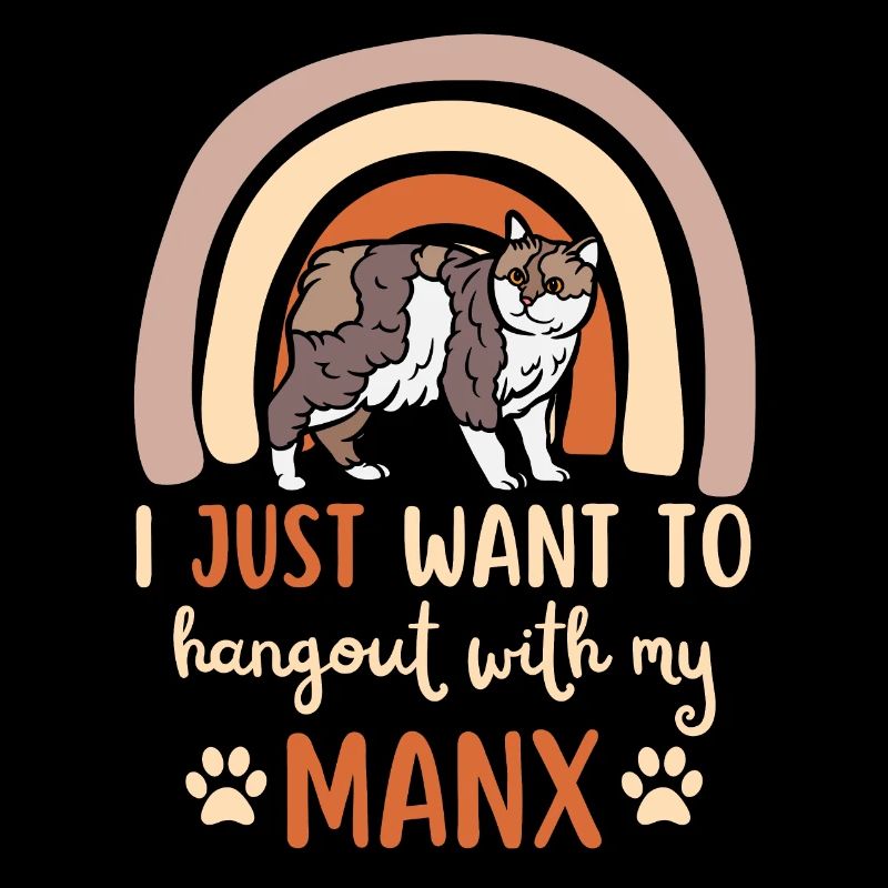 Chat Manx mignon