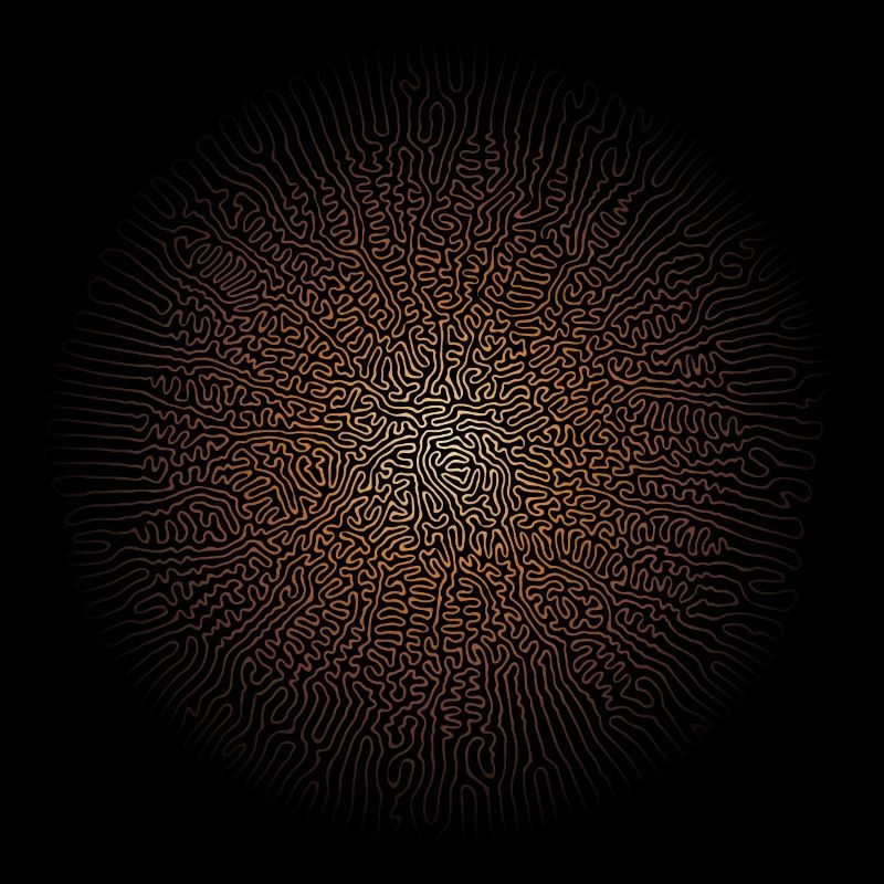 Mushroom Mycelium (Psychedelic Edition)