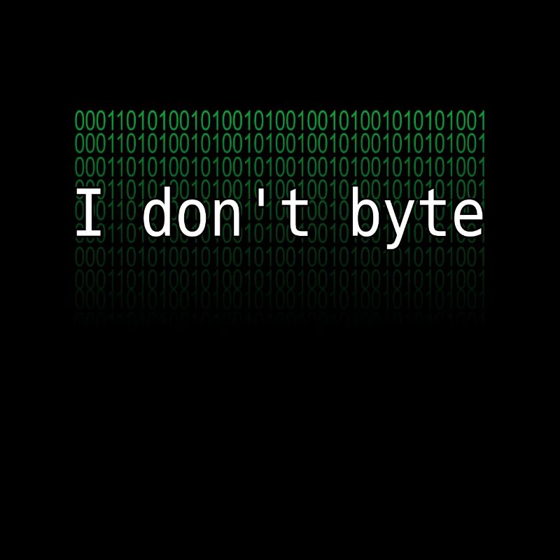 programmeur