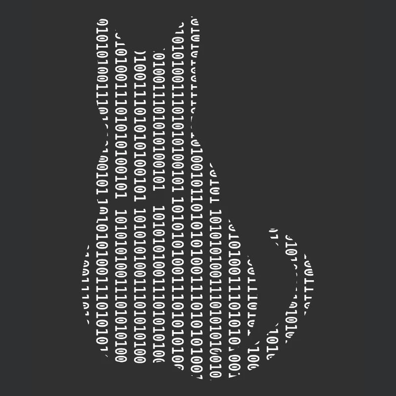 Informaticien Cat Admin Programmeur