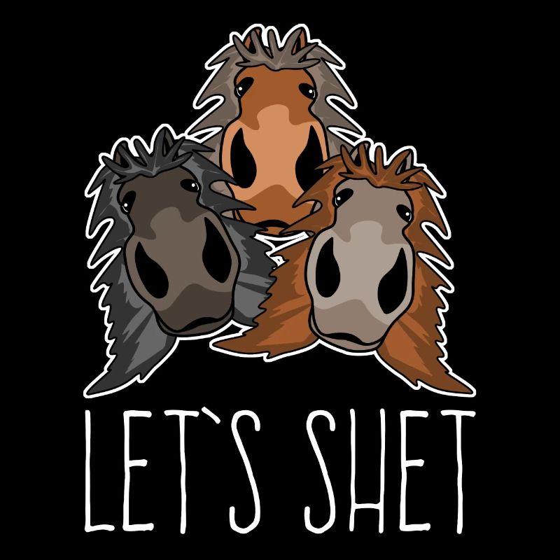 Shetlandpony Shetland Pony Shetty