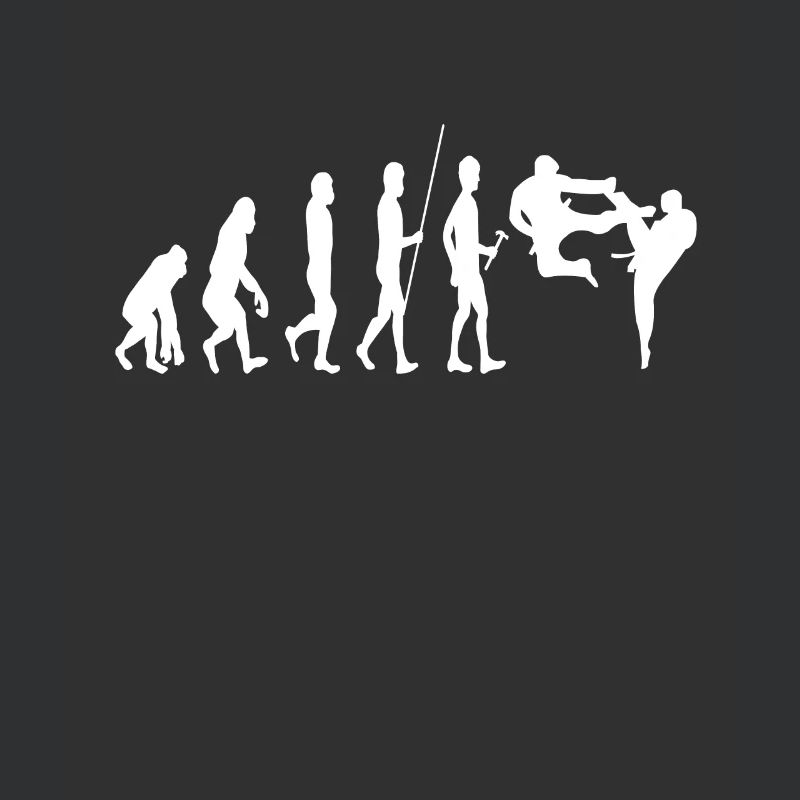 Karate Evolution