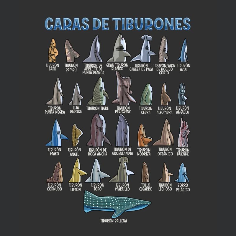 Types de requins Identification des visages