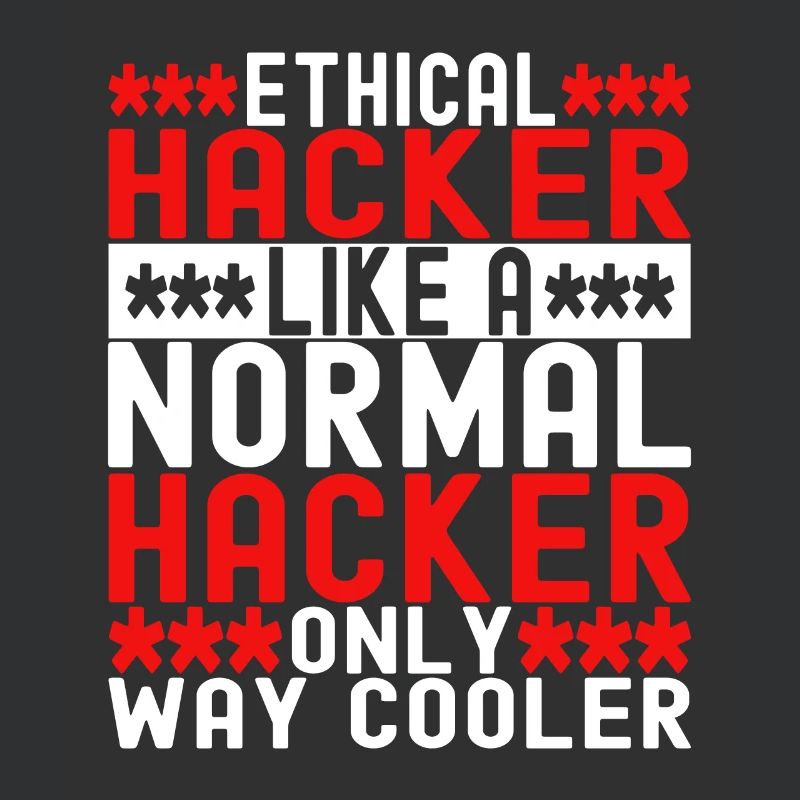 Programmer Cyber Security