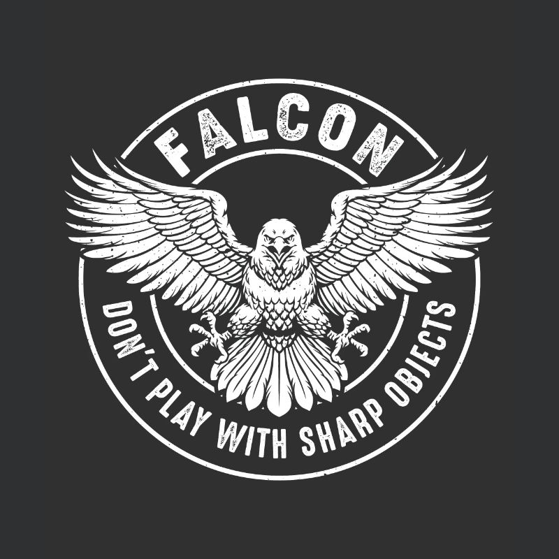 Falcon Sharp objects Falconry Ornithologist Eagle