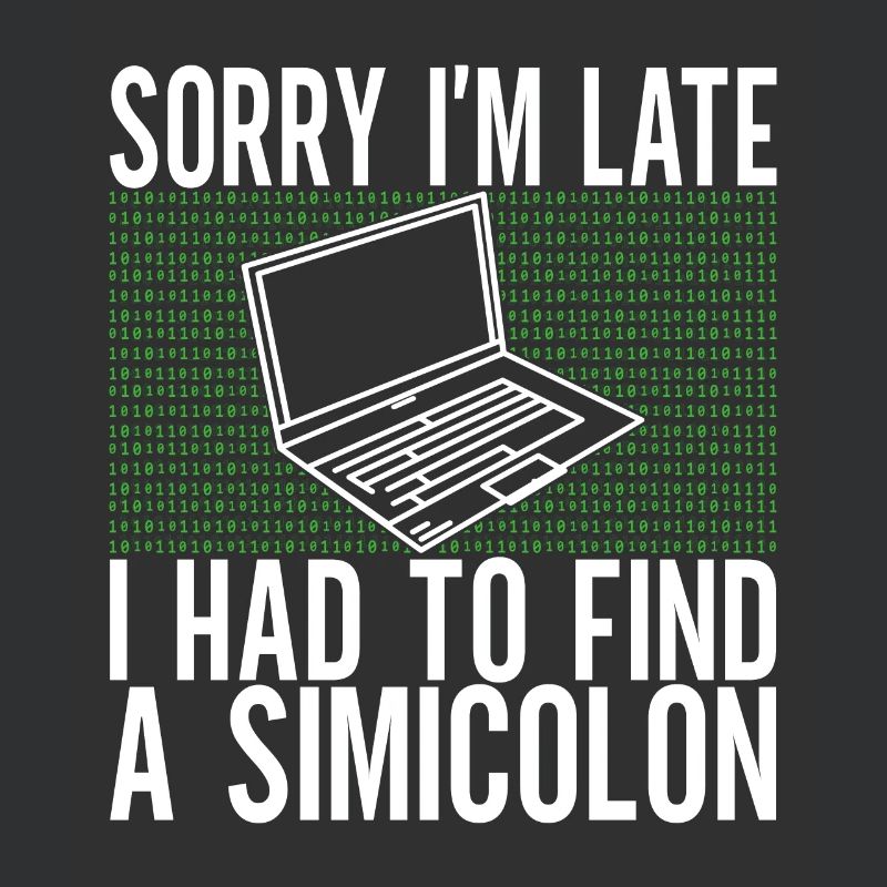 Programmer Computer Scientist