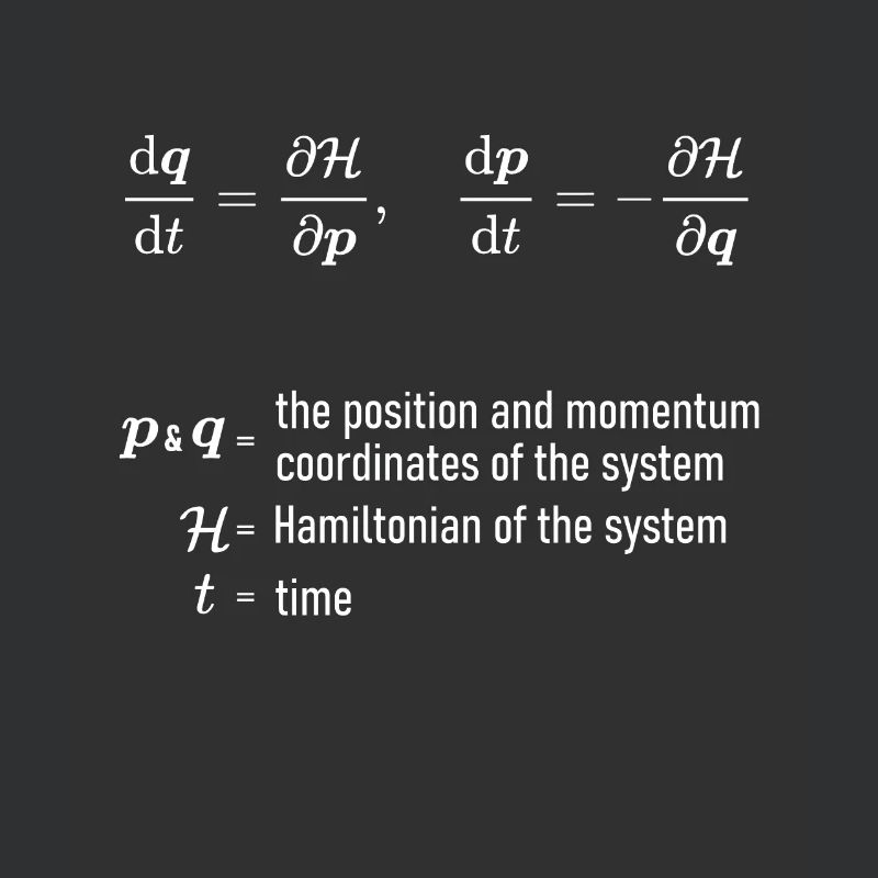 Hamilton Equations of Classical Mechanics Physics
