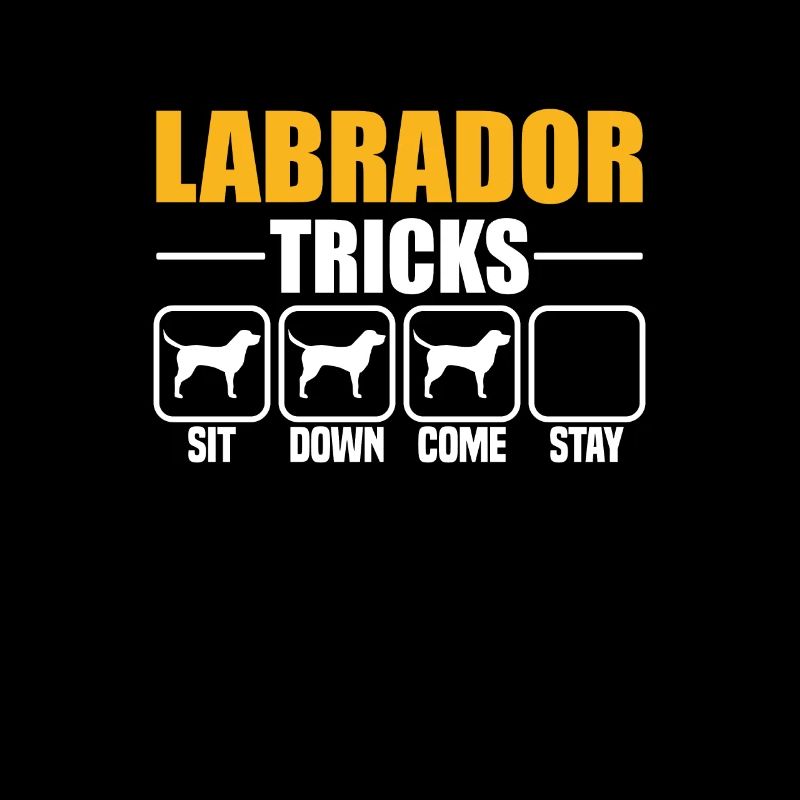 Labrador Tricks