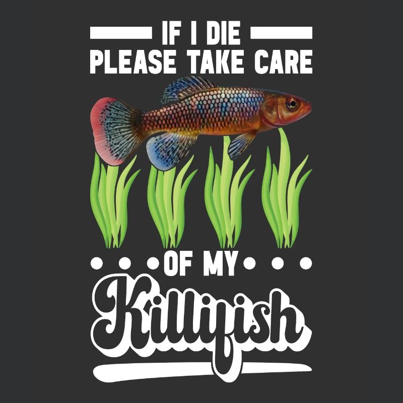 Killifish Quarium Fish