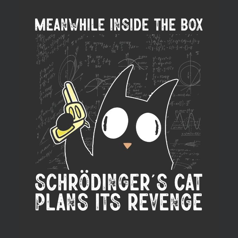 Meanwhile Inside The Box Schrödinger Cat